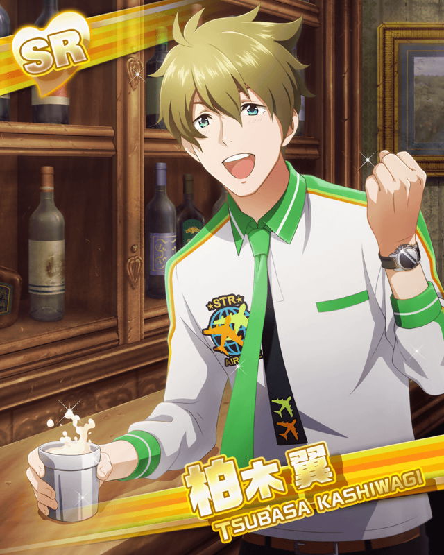 【最終】SideM スイパラ 柏木翼 缶バッジ14点セット アイドルマスターsideM 柏木翼 スイパラ 缶バッジ - メルカリ